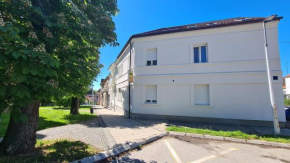 Rooms with a parking space Daruvar, Bjelovarska - 18842